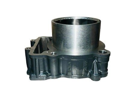 BLOCK PISTON KIT - KTM 390 DUKE & RC 2013-2023 (36JP0031)