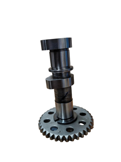 Camshaft intake - JF511254 / JF511253 - Dominar 400 BS4, 2019-20
