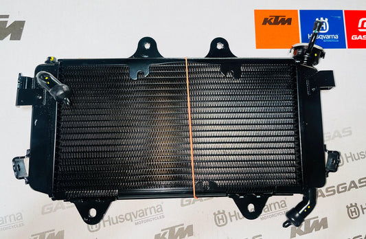Radiator Assembly Duke 250/390 BS4 part no:-JP601209
